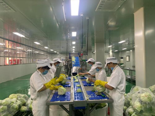 贛供源公司 為上萬名學生營養餐保駕護航的幕后英雄