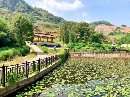 原來家門口這么多好玩的 國慶假期,武穴人必去的景點都在這