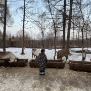 安圖長白山雪絨花馴鹿園游玩-長白山雪絨花馴鹿園門票多少錢/價格表-團(tuán)購票價預(yù)定優(yōu)惠-景點(diǎn)地址在哪里/圖片介紹/參觀預(yù)約/旅游游覽順序及注意事項/營業(yè)時間-】