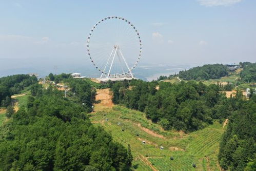 美心紅酒小鎮(zhèn)入選全國 萬企興萬村 行動優(yōu)秀案例庫第一批擬入庫案例名單