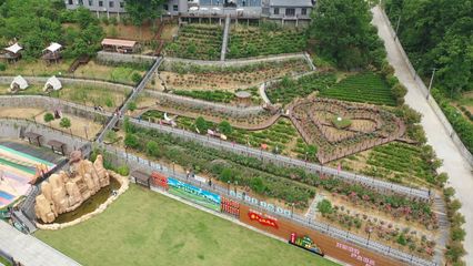 安康市漢濱區龍頭灣&middot;茶語漫游AAA級景區邀你打卡