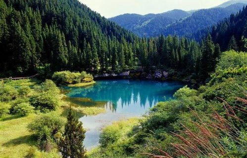 黃龍管理局牟尼溝景區(qū)正式實施網(wǎng)上實名制購票