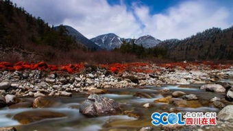 5.19中國旅游日海螺溝景區免票 走起來吧