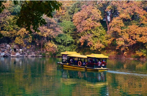 北京市屬公園31項(xiàng)重陽活動送祝福