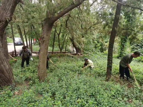 濟(jì)南市靈巖寺景區(qū)加強(qiáng)環(huán)境整治,提升景區(qū)旅游品質(zhì)