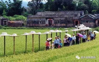 開(kāi)發(fā)鄉(xiāng)村旅游,應(yīng)關(guān)注這四類產(chǎn)品