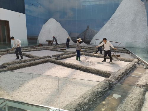 好客山東 百團山東行——濱州無棣站活動啟動，園區管理服務協同助力