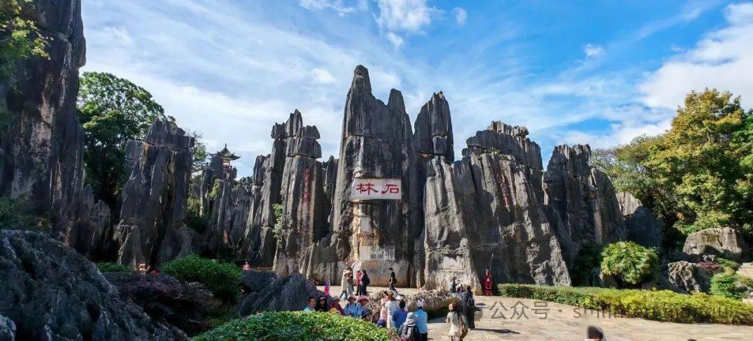 高考生福利來襲！6月10日至8月31日免費暢游石林三大景區
