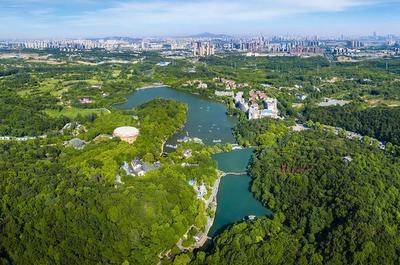 草地露營、國潮音樂節、少兒音樂匯 南京珍珠泉度假區假期精彩紛呈，盡顯卓越園區管理服務