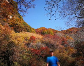 2019平山駝梁風景區游玩全攻略 門票價格、游覽路線、地址與服務詳解