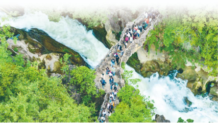 以園區為支點，精準服務與融入新發展格局