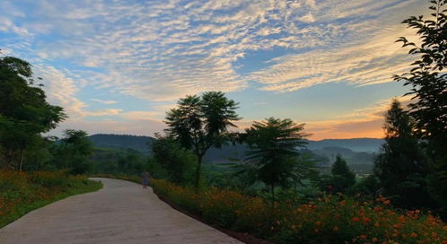 從桃花源到悠然島 園區(qū)管理服務(wù)的詩(shī)意進(jìn)化