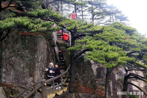 三十八歲未婚女性的人生新篇章 在自我探索與景區(qū)管理中尋找平衡